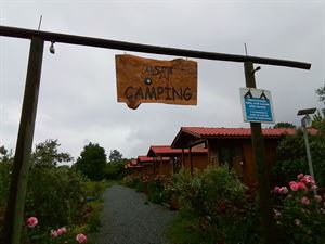 Alp Star Camping Bungalov ve Karavan Tatil