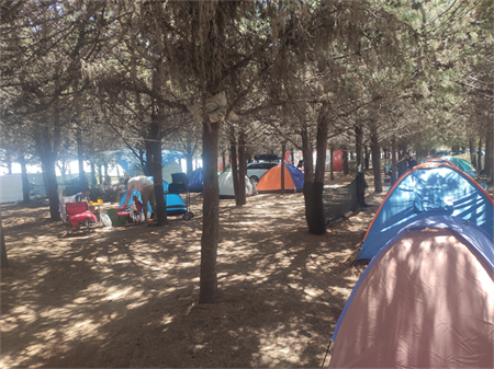 cadir-kent-camping-samsun-19-mayis