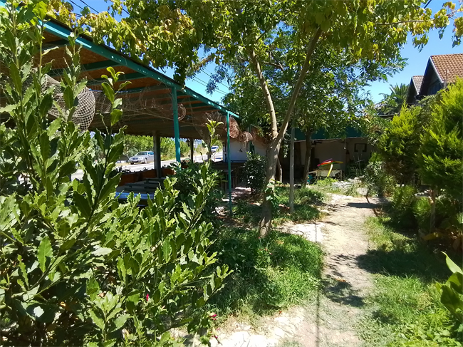 doga-muhit-camping-iznik