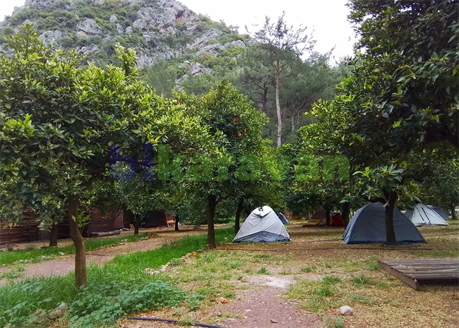 mandalin-camping