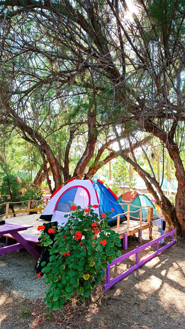 thecamp-camping-bodrum