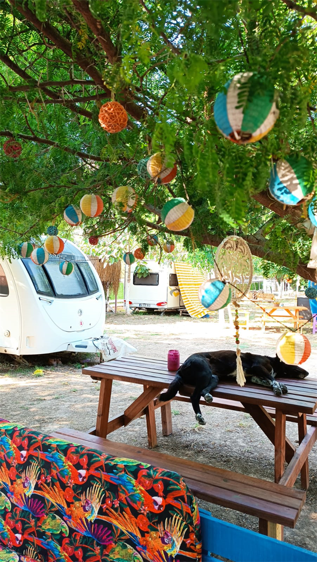 thecamp-camping-bodrum